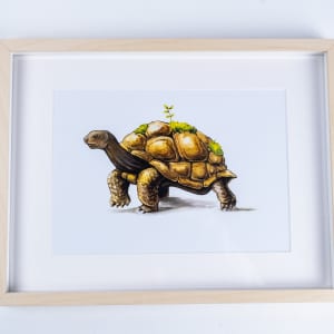 Schildegard Plakat DIN A4