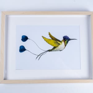 Kolibri Plakat DIN A4